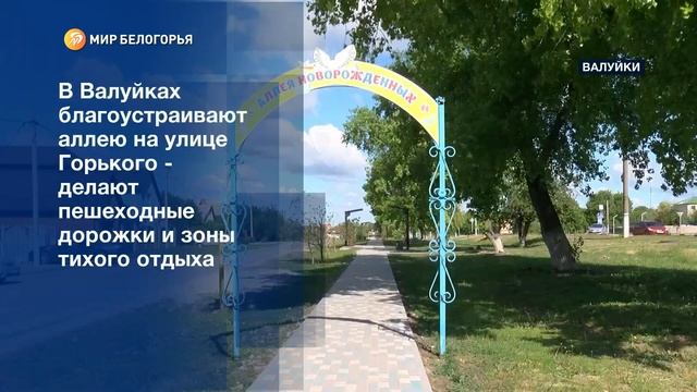 Как изменится аллея на ул  Горького в Валуйках