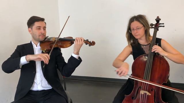 Instrumental Duo - Violin & Cello