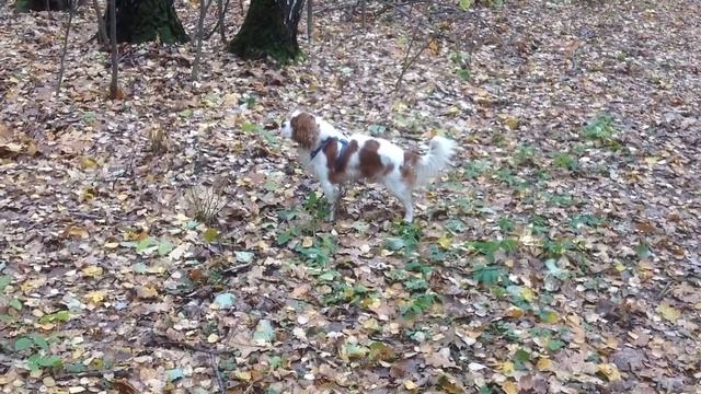 E94a07ffe5441bc66c9fa18cdda3801a