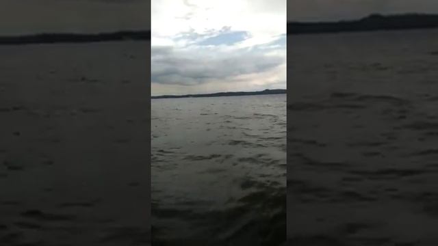 8f5dc3a93a690cf956b4adfe139726f6