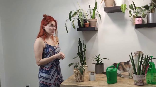 Water & Chat With Me. Watering My Plants