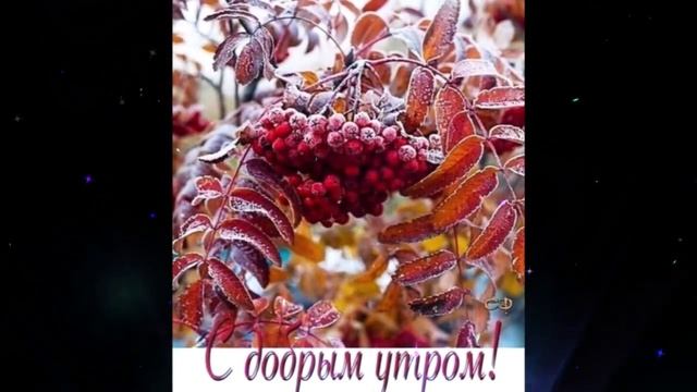 Доброе  утро     Даша  Столбова   Эта  Песня  Останется