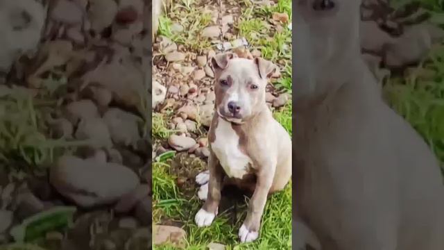 Ae8866a60fee22d83dcbbc06a2f89fbc