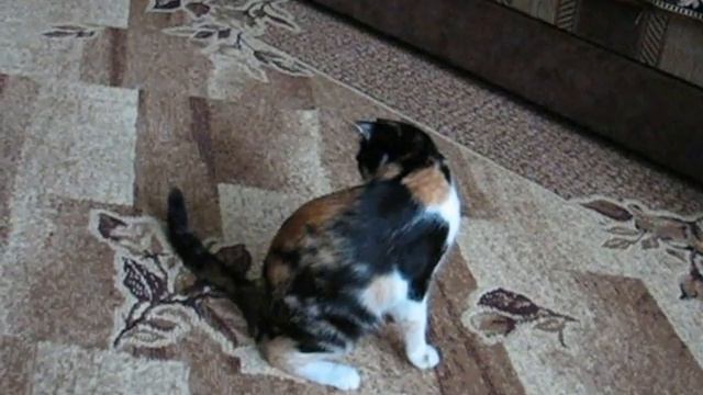 6352b5b4a94f0f48d7068d9357839d0e