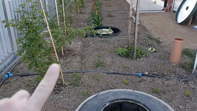 Канализация в частном доме по уму