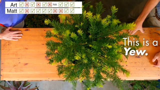 Back To School With Plants! | PLANTPOP's Plant Show, Ep. 13