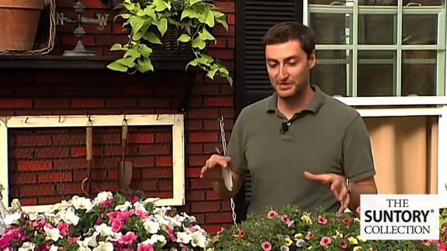 Suntory Presents Breeder's Choice Combos For Growers