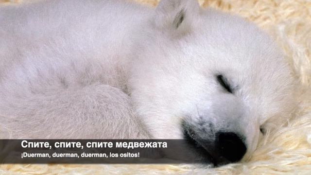 3a43a3c35d78bba14261240a0b397949