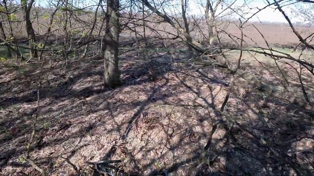 ПРИЯТНЫЕ НАХОДКИ КОП  ВТОРСЫРЬЯ  (МЕТАЛЛА) 09.04. 2023