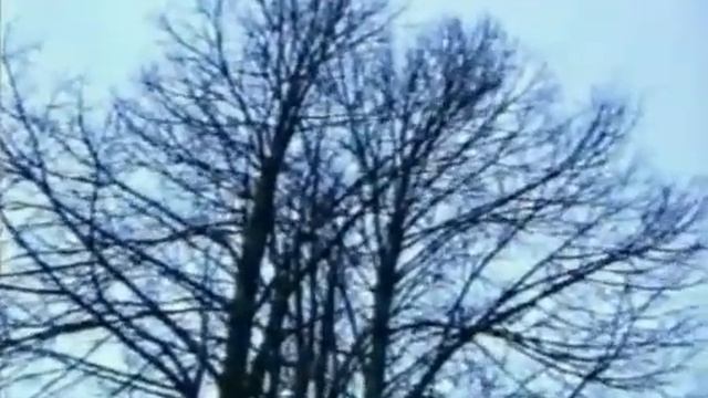 M8l8th - Чëрным Крылом