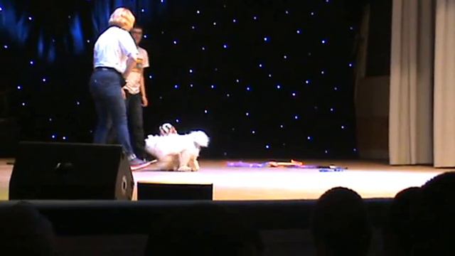 2015 05 30 11H52M AM Title 01 Cut1