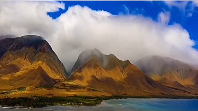 98ec0a256895cc899a445c176c7d0edc