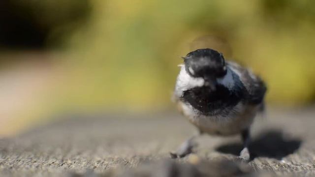 НАСТОЯЩИЙ САНАТОРИЙ С ПРИЗРАКАМИ