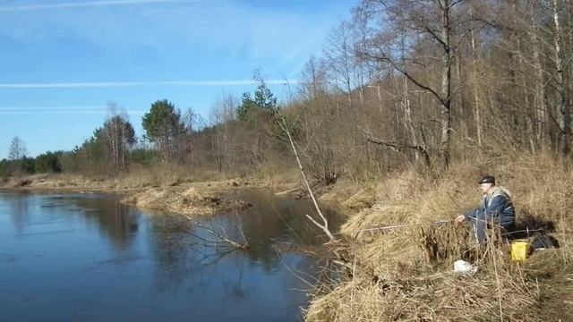 2014 03 28 уклейки, ветер. Fujifilm Finepix HX10