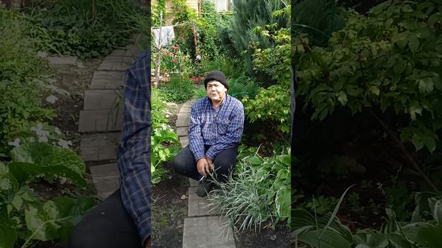 Слепой поэт Самвел Паронян. Дорога к богу.