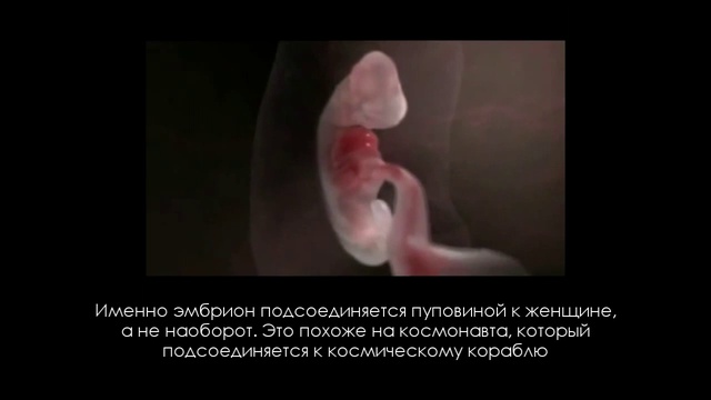 Рождение Человека