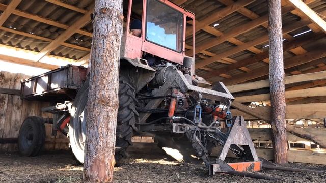 Привезли коров с выпасов .