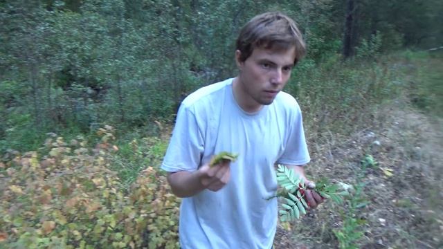 E7bec9e80f540e13c1a6fd27c43af4d9