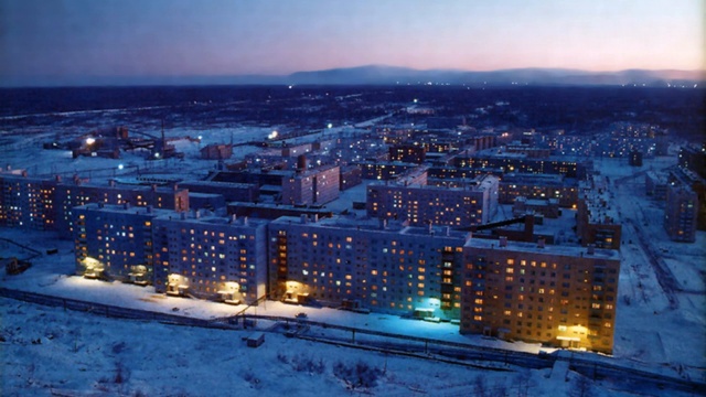 Цветок в ночи