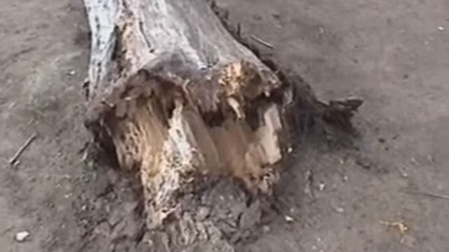 8f161649d14616f61edaf0f61d35ece7