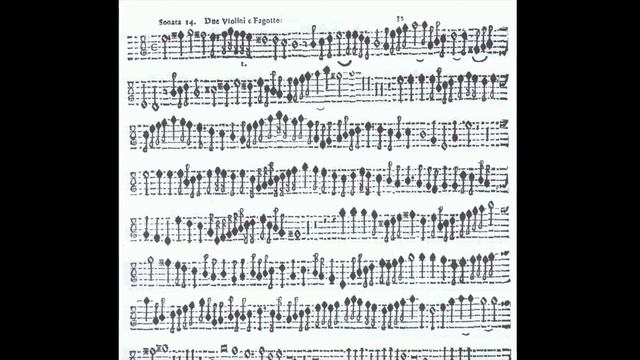 QUICKSILVER Fontana Sonata 14