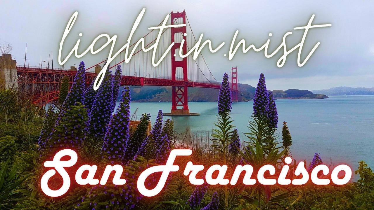 Light.in.mist - Till Dawn Will Tell