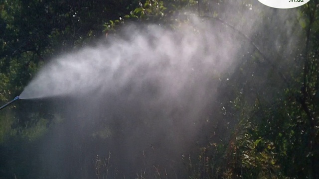 Опрыскиватель садовый Sadko GSP-3325 в работе