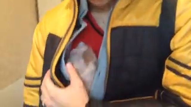 Во-Хостел в Москве- дешёвый хостел на Выхино отзыв.