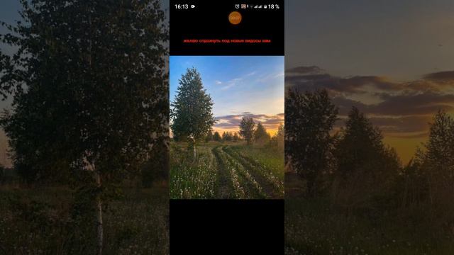 долгожданное лето