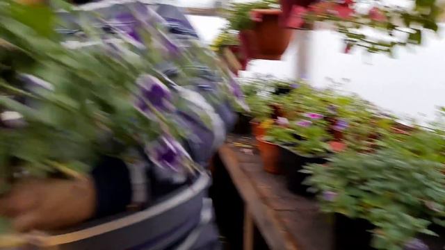 4285ebdac6a747d77747d918adaa4116