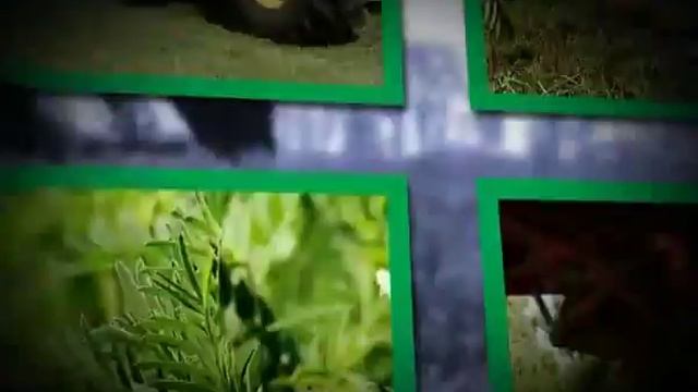 Технология 