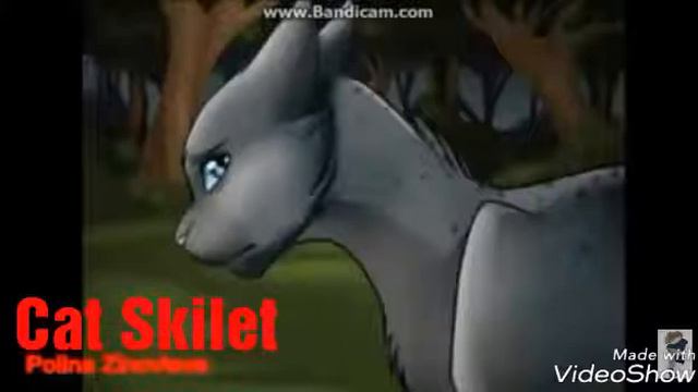 Коты Воители . Белка