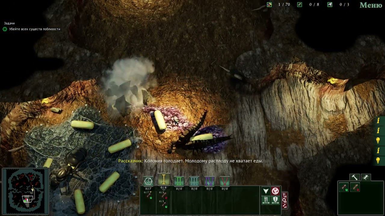 тупиковая ветвь