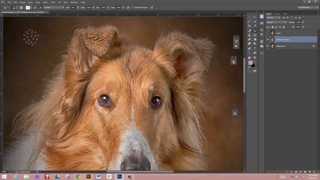 Photoshop Mixer Brush Explained