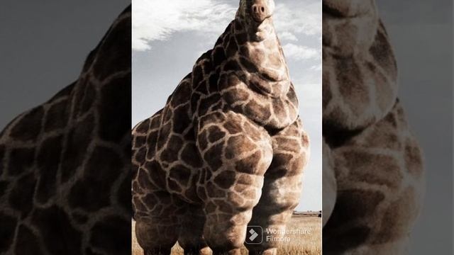 смешная сказка ?