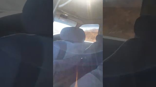 Неубиваемая Тойота.