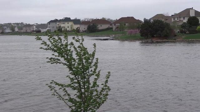 Test Video Sony Dsc-wx80