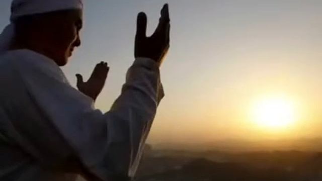 13 октября 2015 г.