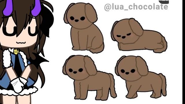 футаж собаки и кошки