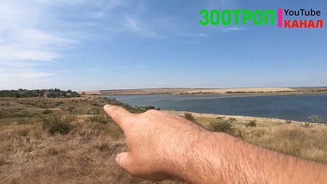 Тилигульский лиман. Отдых. Устрицы Скифии. Ойстервиль. Тилигул дикие пляжи. Красота лимана. зоотро