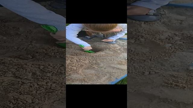 про город 2 часть