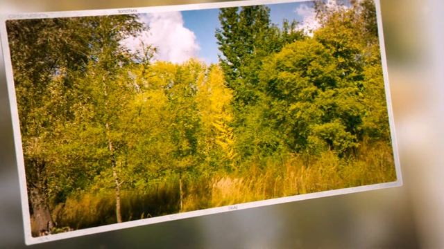 Золотая осень 2020 / Ульяновск / Видефрагменты и фото-слайдшоу