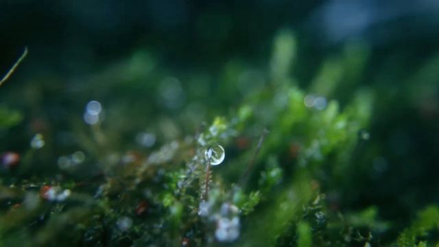 Спокойная Музыка Для Сна. Расслабляющая музыка - Calm Music For Sleeping Is Relaxing music.