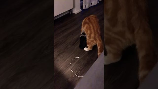 2535fbf2b15f4453fe1d746d61f8bd29