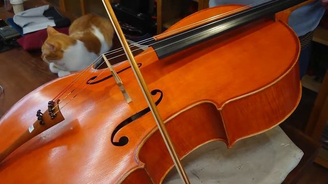 『山寨』A弦LARSEN CELLO From CYH
