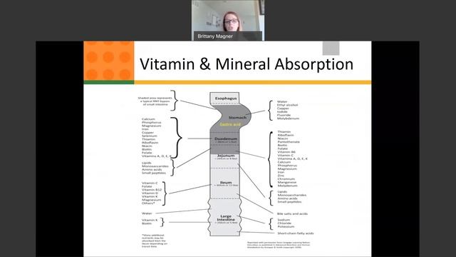Nutrition Video Pre Op Class 2020