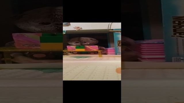 Басик отдыхает