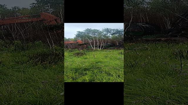 продолжаем ехать на работу😄