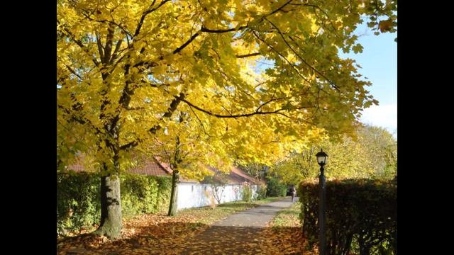Осенние пейзажи Германии
