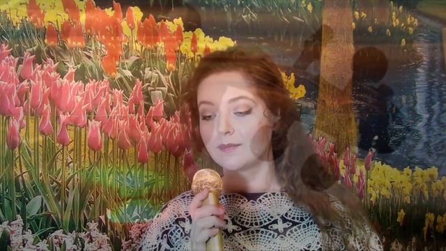 Чарівна скрипка/Сіла птаха (cover By Angelicus)